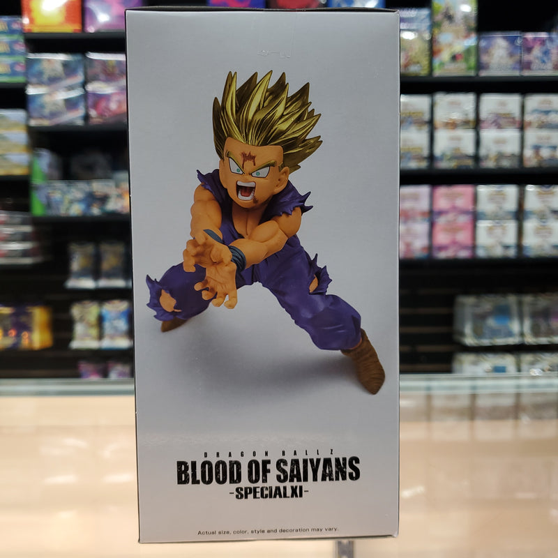 Dragon Ball Z - Blood of Saiyans - Special - Son Gohan