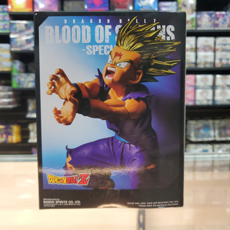 Dragon Ball Z - Blood of Saiyans - Special - Son Gohan